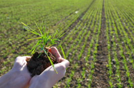 TEST - Gewasbescherming